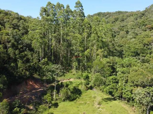 Sítio / Chácara para Venda em Antônio Carlos/SC Zona Rural