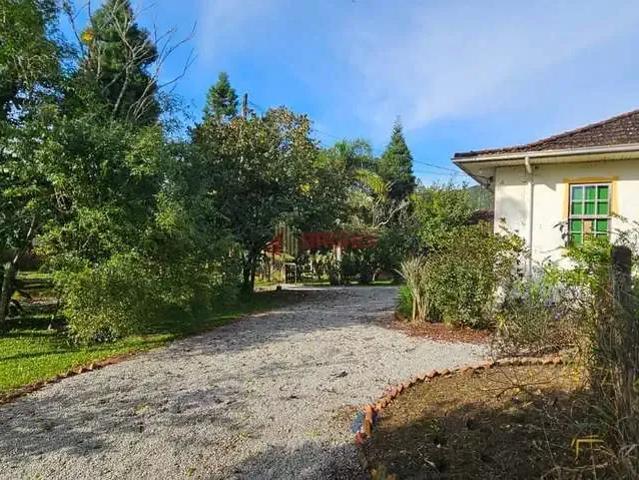 Sítio / Chácara para Venda em Antônio Carlos/SC Zona Rural 2 Quartos