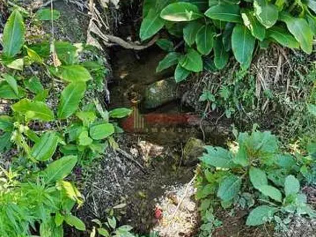 Sítio / Chácara para Venda em Antônio Carlos/SC Zona Rural