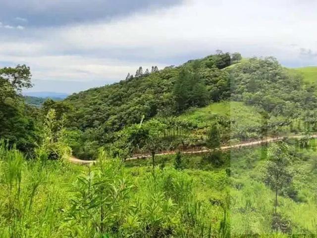 Sítio / Chácara para Venda em Antônio Carlos/SC Centro 2 Quartos