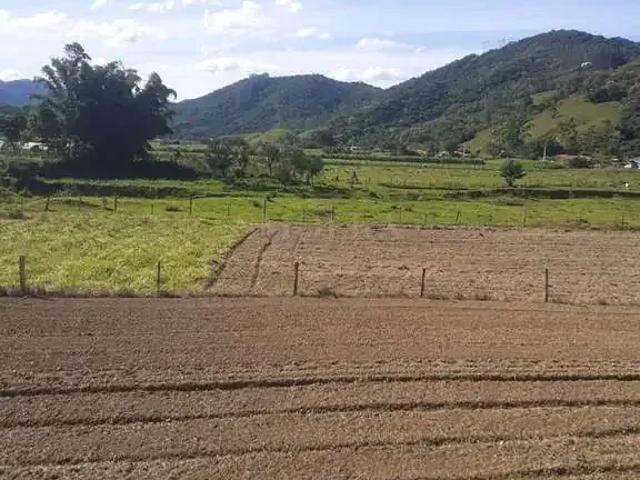 Sítio / Chácara para Venda em Antônio Carlos/SC Centro 4 Quartos