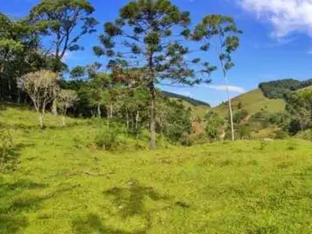 Sítio / Chácara para Venda em Antônio Carlos/SC Egito