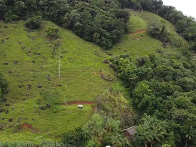 Sítio / Chácara para Venda em Antônio Carlos/SC Guiomar 2 Quartos