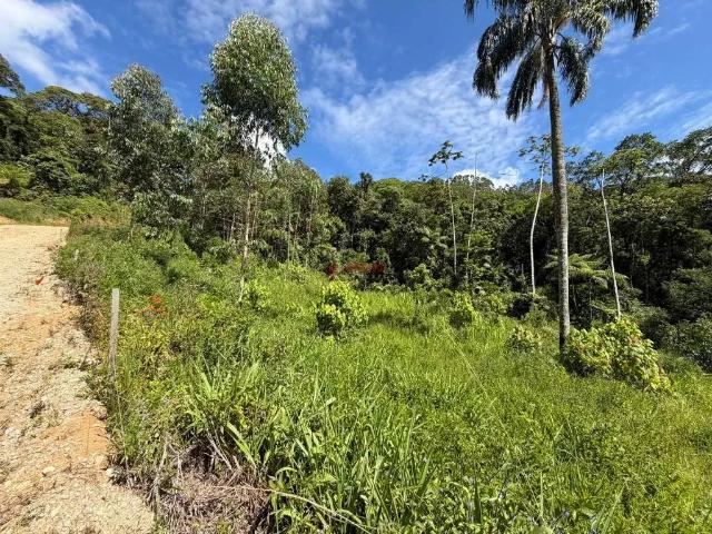 Sítio / Chácara para Venda em Antônio Carlos/SC Morro da Glória