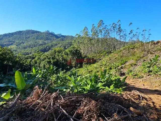 Sítio / Chácara para Venda em Antônio Carlos/SC Santa Maria