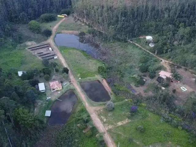 Sítio / Chácara para Venda em Antônio Dias/MG Cocais das Estrelas