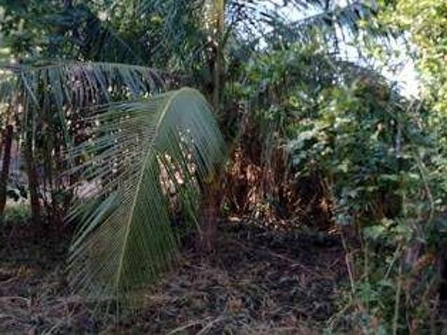 Sítio / Chácara para Venda em Antônio Dias/MG Fazenda Horto Baratinha 2 Quartos
