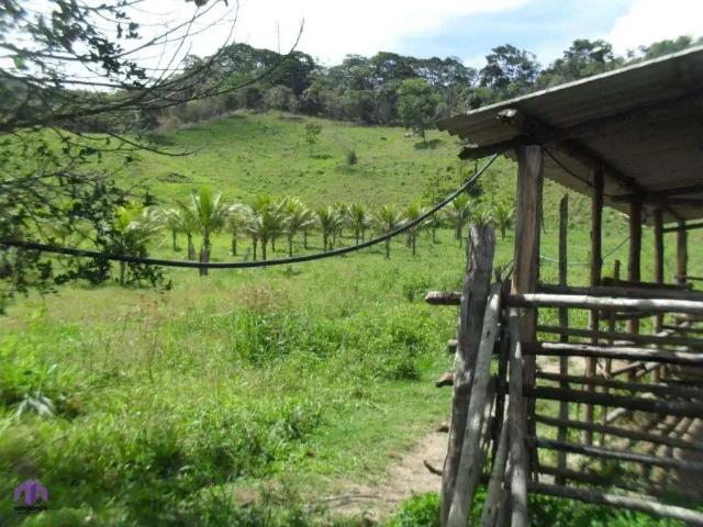 Sítio / Chácara para Venda em Antônio Dias/MG Zona Rural