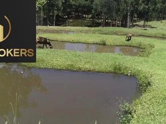 Sítio / Chácara para Venda em Antônio Olinto/PR Água Amarela 2 Quartos