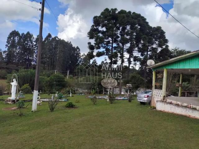 Sítio / Chácara para Venda em Antônio Olinto/PR Imbuial 4 Quartos