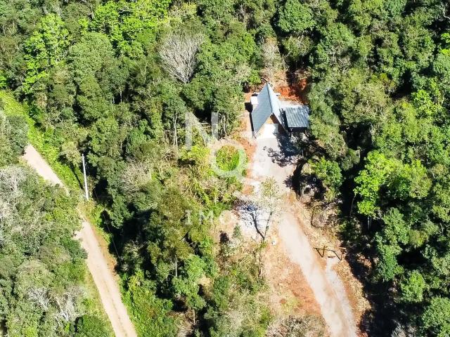 Sítio / Chácara para Venda em Antônio Prado/RS Zona Rural