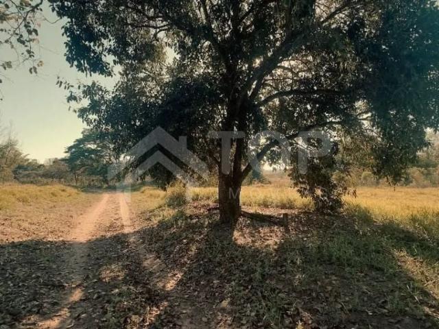 Sítio / Chácara para Venda em Analândia/SP Centro 3 Quartos