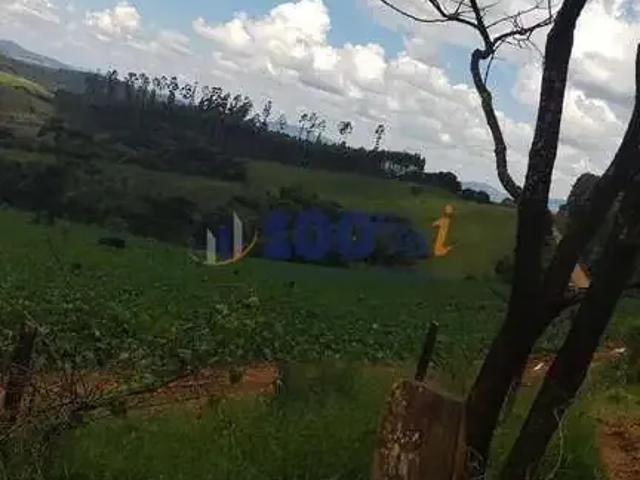Sítio / Chácara para Venda em Andradas/MG Zona Rural 1 Quartos
