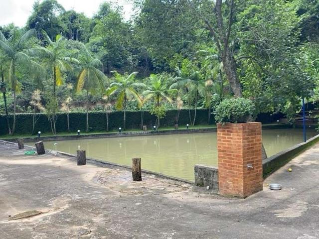 Sítio / Chácara para Venda em Andradas/MG Zona Rural 4 Quartos