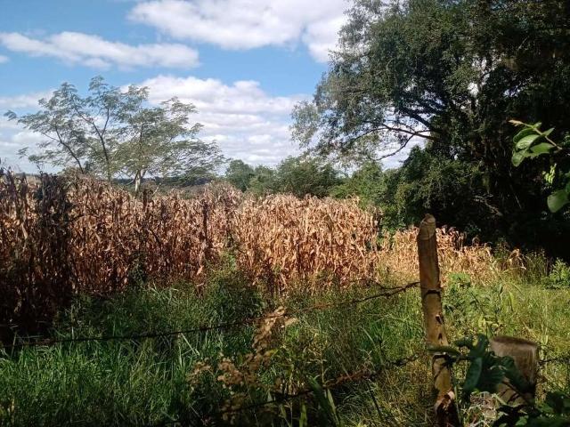 Sítio / Chácara para Venda em Angatuba/SP Zona Rural 1 Quartos