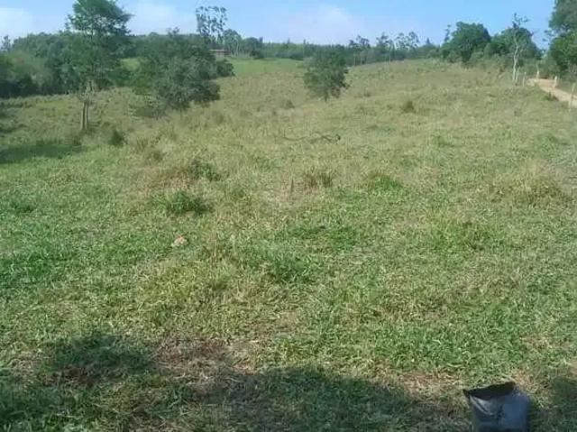 Sítio / Chácara para Venda em Angatuba/SP Zona Rural 1 Quartos