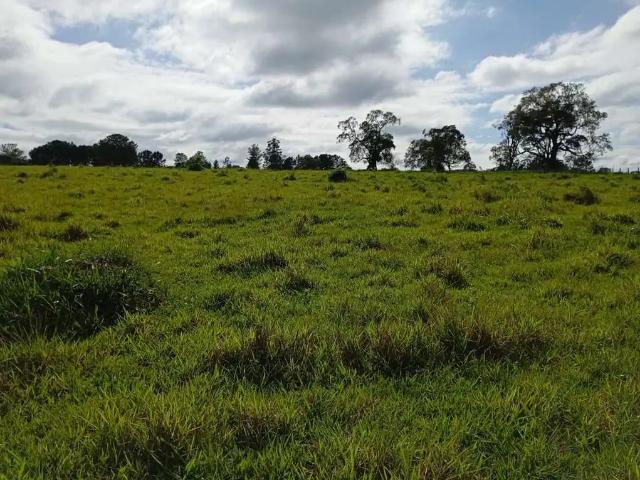 Sítio / Chácara para Venda em Angatuba/SP Zona Rural 1 Quartos