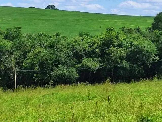 Sítio / Chácara para Venda em Angatuba/SP Zona Rural 1 Quartos