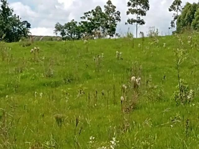 Sítio / Chácara para Venda em Angatuba/SP Zona Rural 2 Quartos
