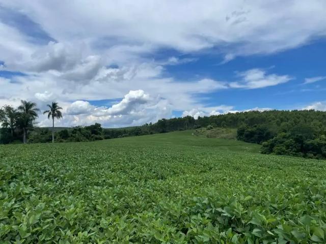 Sítio / Chácara para Venda em Angatuba/SP Zona Rural 2 Quartos