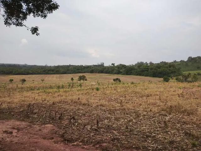 Sítio / Chácara para Venda em Angatuba/SP Zona Rural 2 Quartos