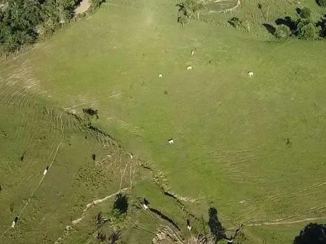 Sítio / Chácara para Venda em Angatuba/SP Zona Rural 3 Quartos