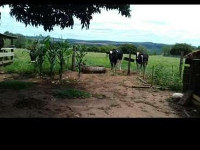 Sítio / Chácara para Venda em Angatuba/SP Zona Rural 3 Quartos