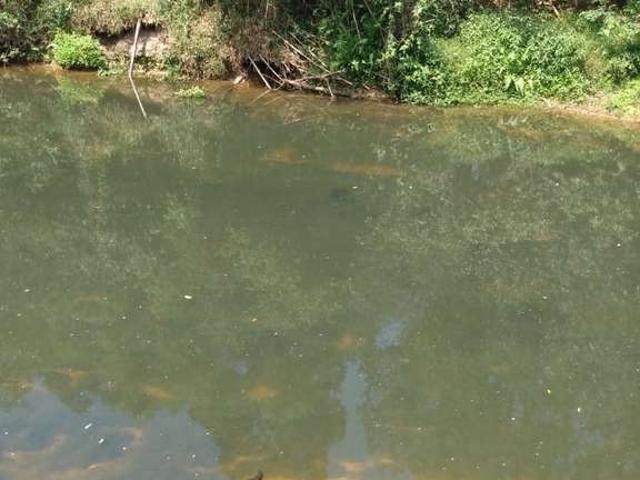 Sítio / Chácara para Venda em Angatuba/SP Zona Rural 3 Quartos
