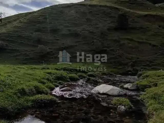 Sítio / Chácara para Venda em Angelina/SC Barra Clara