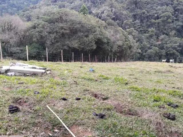 Sítio / Chácara para Venda em Anitápolis/SC Centro