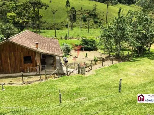 Sítio / Chácara para Venda em Angelina/SC Centro 4 Quartos