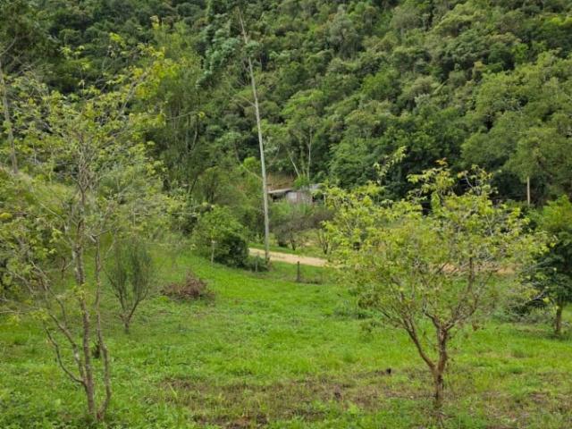 Sítio / Chácara para Venda em Angelina/SC Garcia 1 Quartos