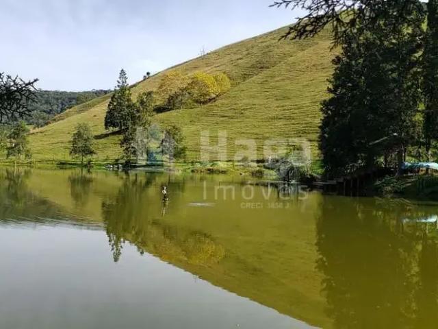 Sítio / Chácara para Venda em Angelina/SC Rancho De Tábuas 3 Quartos