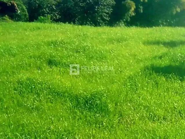 Sítio / Chácara para Venda em Angelina/SC Rio Pequeno