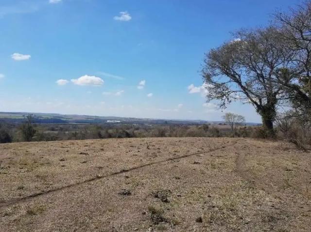 Sítio / Chácara para Venda em Anhembi/SP Zona Rural 3 Quartos