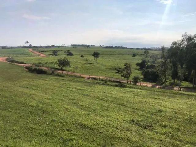 Sítio / Chácara para Venda em Anhumas/SP Zona Rural