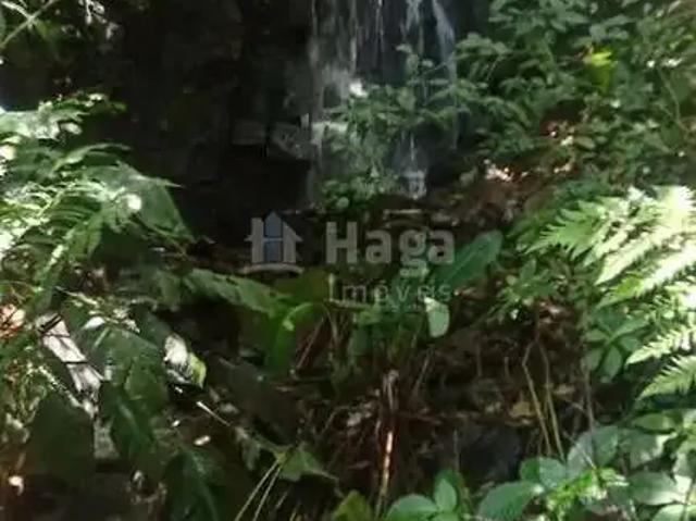 Sítio / Chácara para Venda em Anitápolis/SC Zona Rural 3 Quartos
