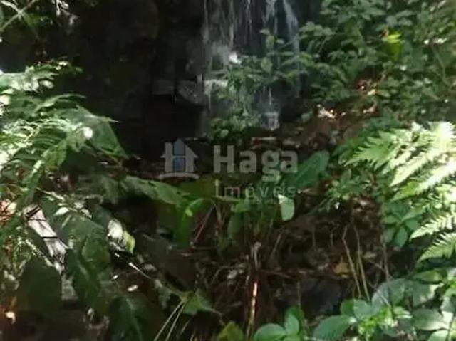 Sítio / Chácara para Venda em Anitápolis/SC Zona Rural 3 Quartos