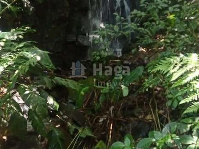 Sítio / Chácara para Venda em Anitápolis/SC Zona Rural 3 Quartos