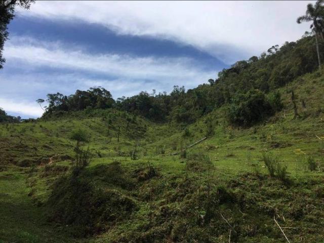 Sítio / Chácara para Venda em Anitápolis/SC Zona Rural