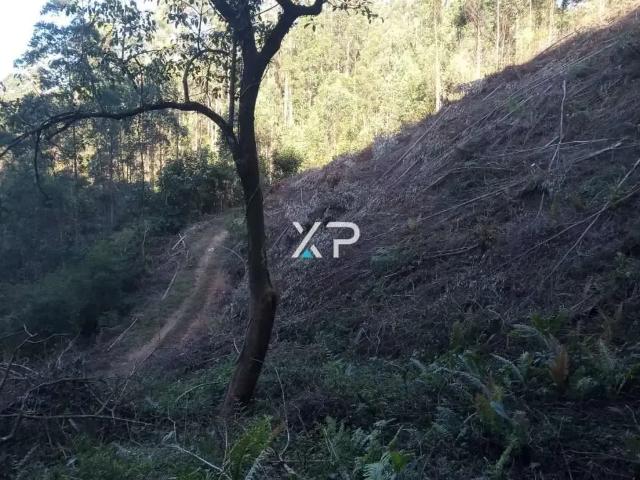 Sítio / Chácara para Venda em Anitápolis/SC Zona Rural