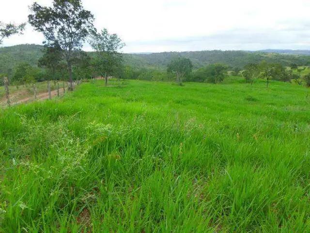 Sítio / Chácara para Venda em Abadia dos Dourados/MG Zona Rural