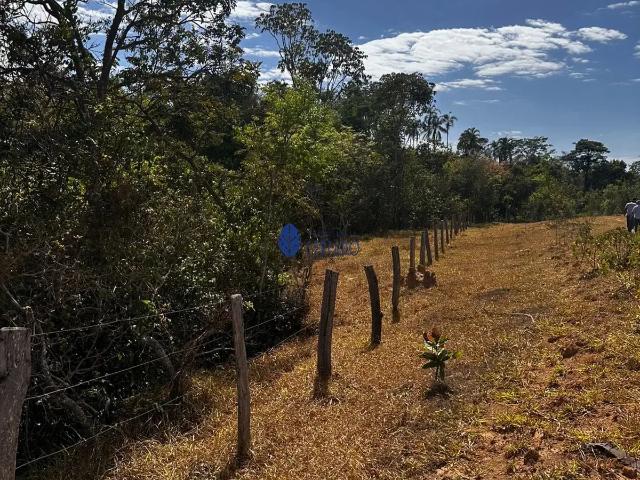 Sítio / Chácara para Venda em Abadiânia/GO Área Rural de Abadiânia 1 Quartos