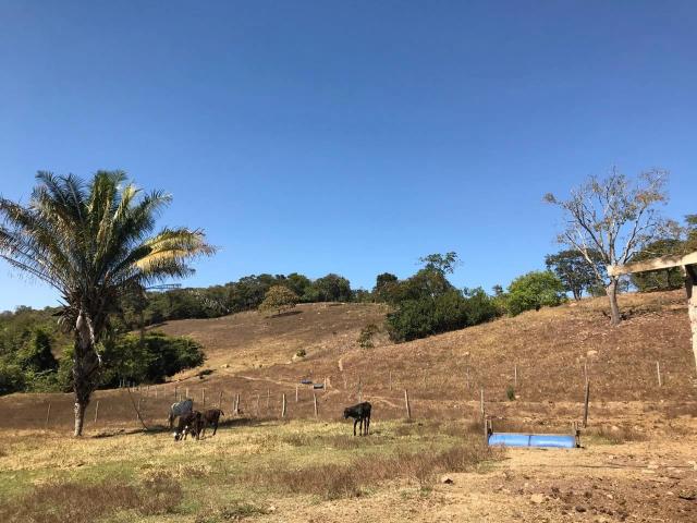 Sítio / Chácara para Venda em Abadiânia/GO Área Rural de Abadiânia