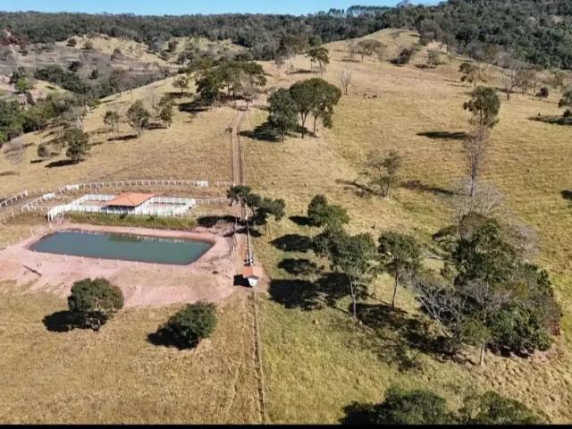 Sítio / Chácara para Venda em Abadiânia/GO Zona Rural 4 Quartos