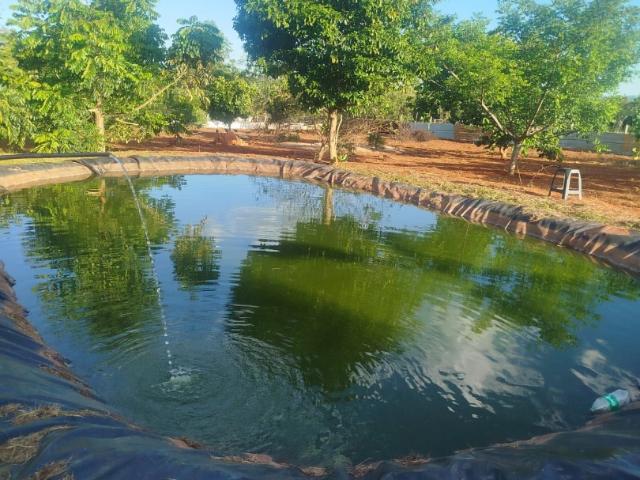 Sítio / Chácara para Venda em Abadiânia/GO Zona Rural 4 Quartos
