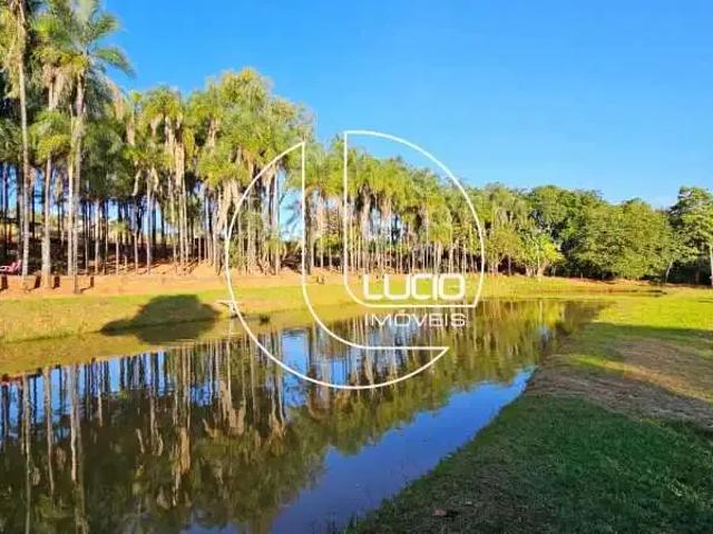 Sítio / Chácara para Venda em Abadiânia/GO Zona Rural 6 Quartos