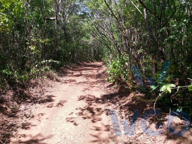 Sítio / Chácara para Venda em Abadiânia/GO Zona Rural