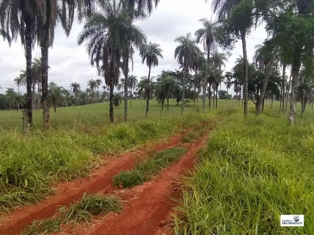 Sítio / Chácara para Venda em Abaeté/MG Centro