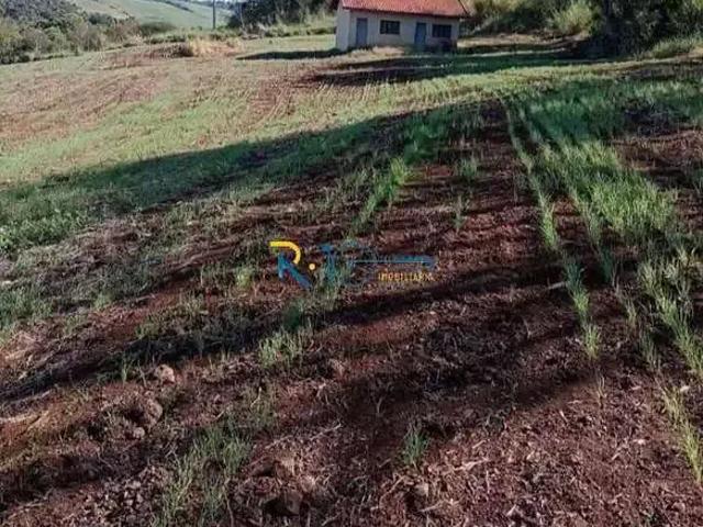 Sítio / Chácara para Venda em Abatiá/PR Zona Rural
